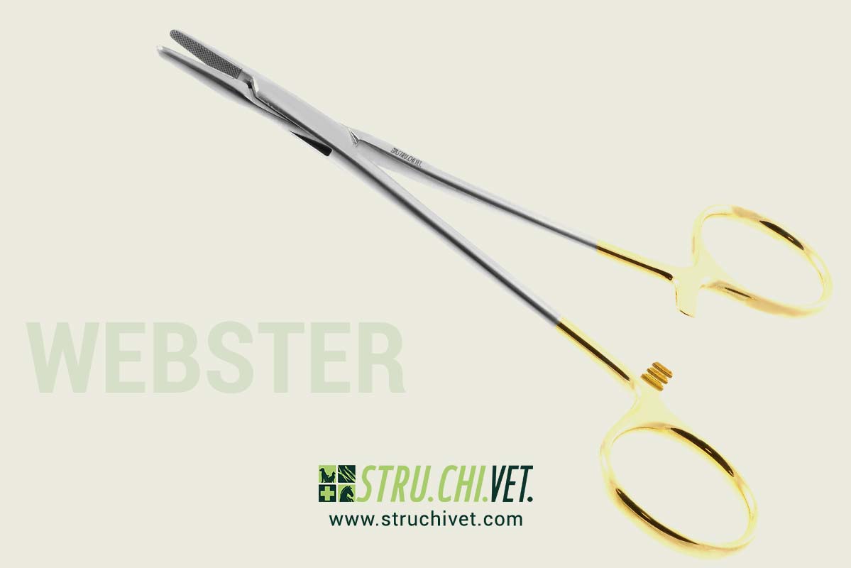 Webster Porta Aghi Carburo di Tungsteno Superficie Dentellata