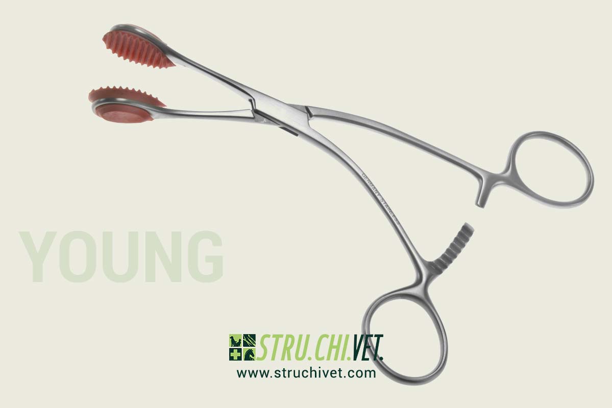 Young-Pinza-per-Afferrare-la-Lingua-01