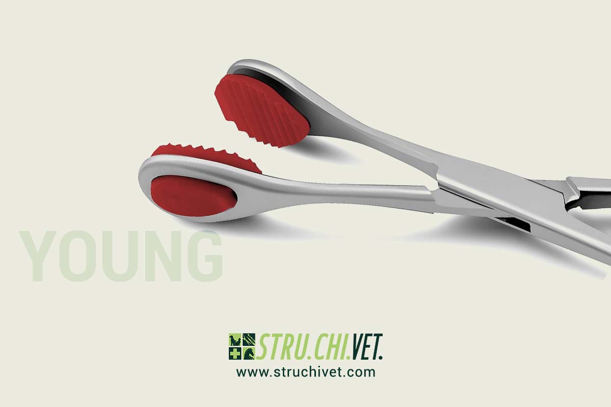 Young-Pinza-per-Afferrare-la-Lingua-02