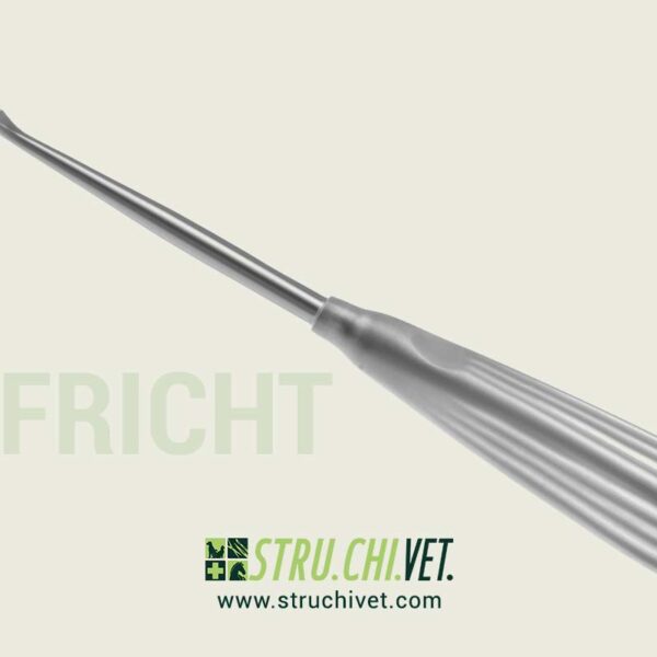 Aufricht Raspa Nasale con Dentellatura di Taglio Avanti e Indietro