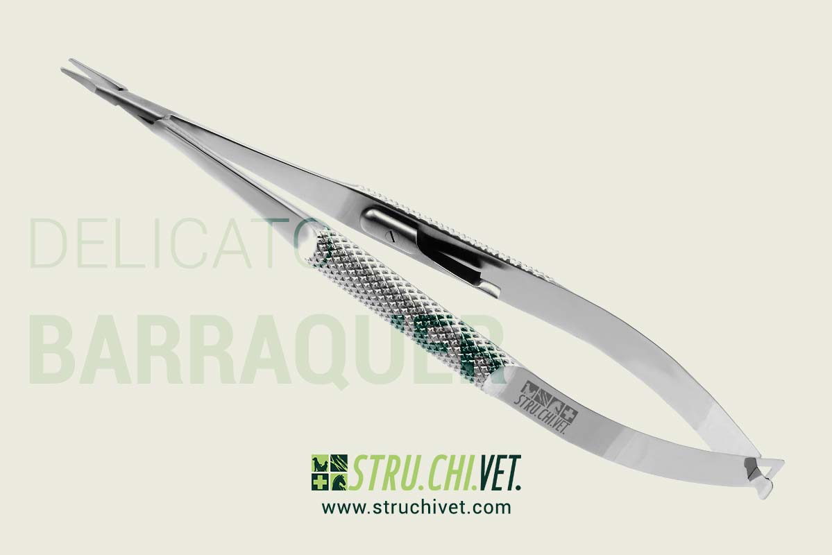 Barraquer Porta Aghi Delicato Superficie Piana Morso Dritto