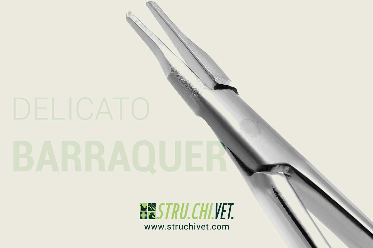 Barraquer Porta Aghi Delicato Superficie Piana Morso Dritto