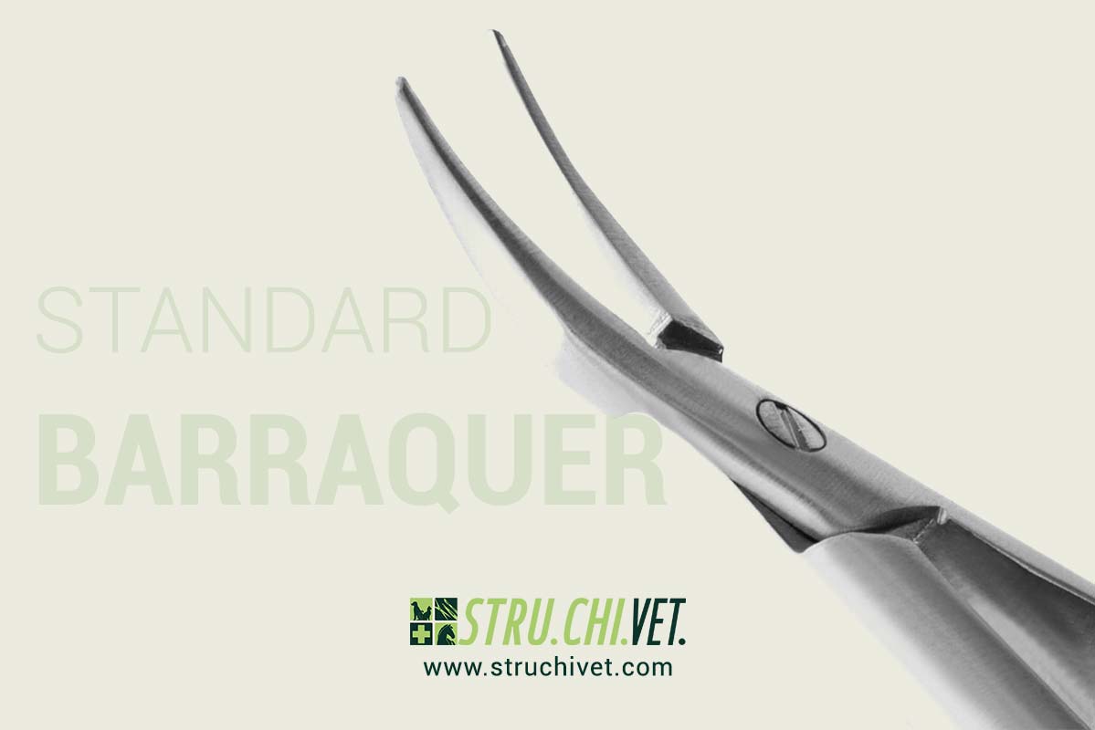 Barraquer Porta Aghi Superficie Piana Morso Curvo