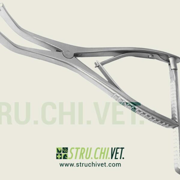 Dispositivo-di-Tensionamento-con-Barra-a-Cricchetto-01