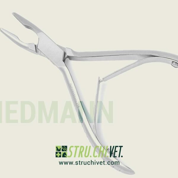 Friedmann-Pinza-per-Osso-01