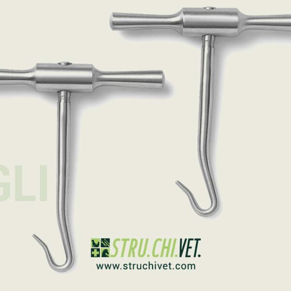 Gigli Manico per Sega a Filo