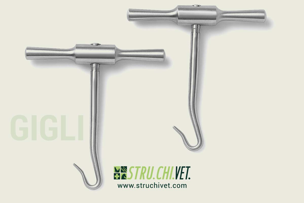 Gigli Manico per Sega a Filo