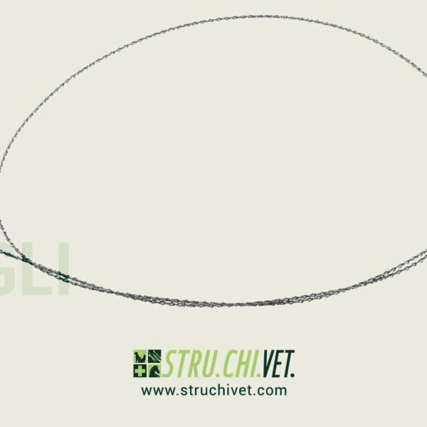 Gigli (Olivecrona) Sega a Filo