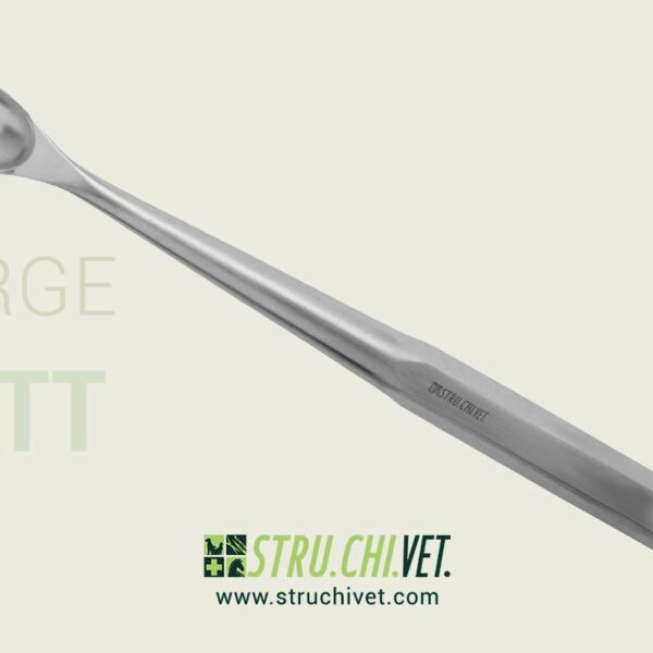 Hatt Curetta del Legamento Femorale Large