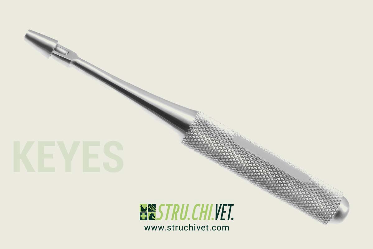 Keyes Punch Dermico