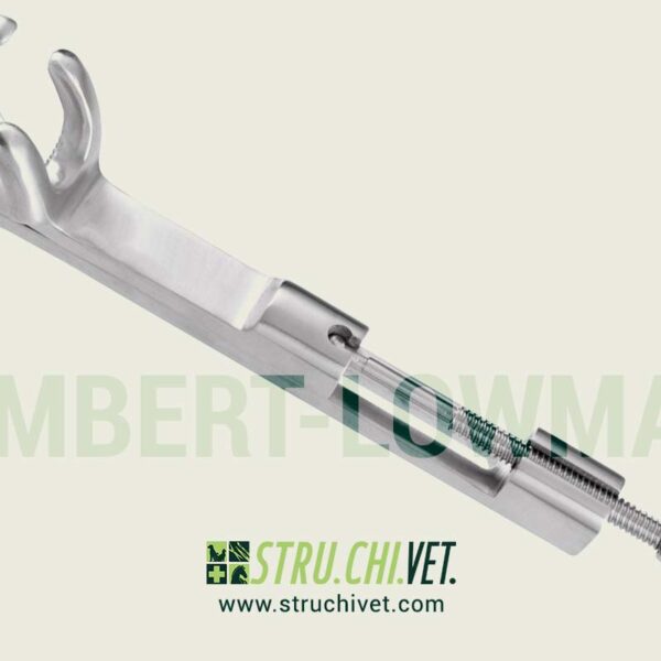 Lambert-Lowman Morsetto Osseo con 2x2 Denti