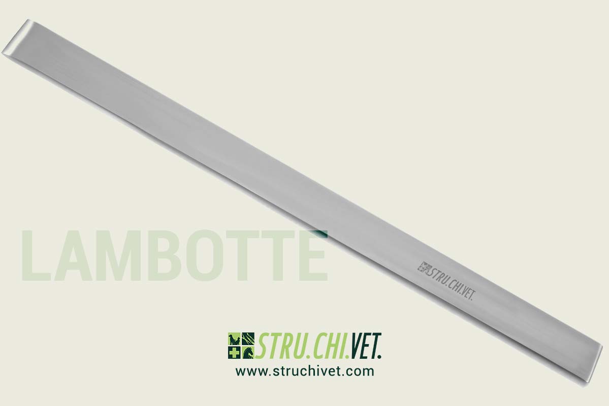 Lambotta Osteotomo Punta Dritta