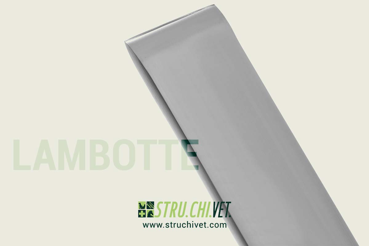 Lambotta Osteotomo Punta Dritta