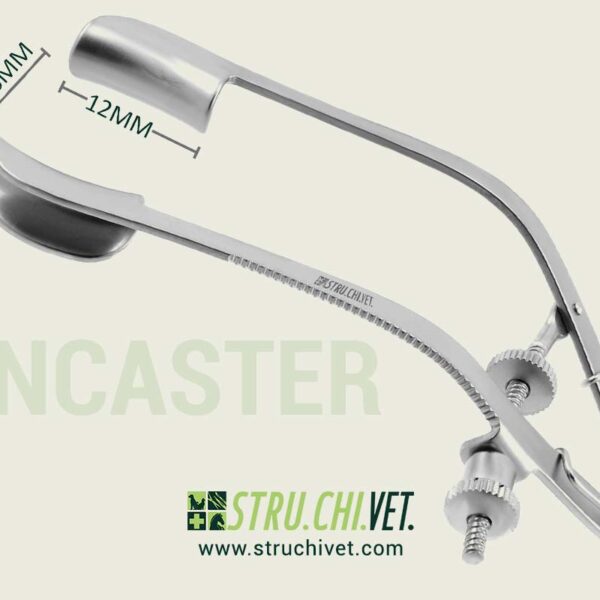 Lancaster-Speculum-Oculare