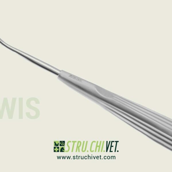 Lewis Raspa con 19x10mm Dentellatura Fine e Taglio Indietro