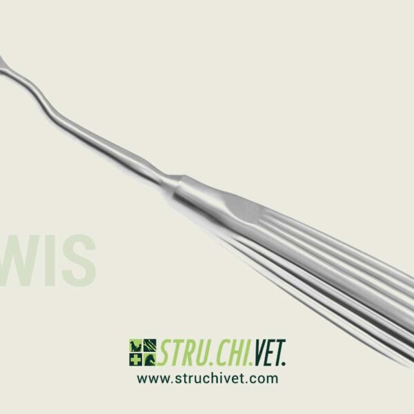 Lewis Raspa con 19x8.0mm Dentellatura Grossolani e Taglio Indietro