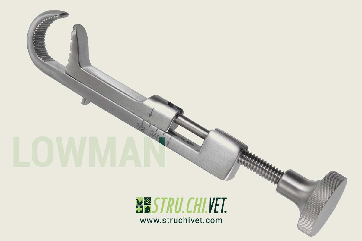 Lowman Morsetto Osseo con 1x1 Denti