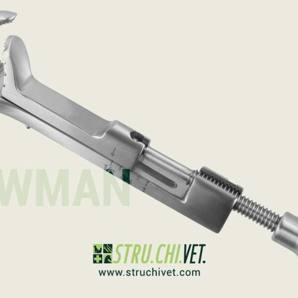 Lowman Morsetto Osseo con 1x2 Denti