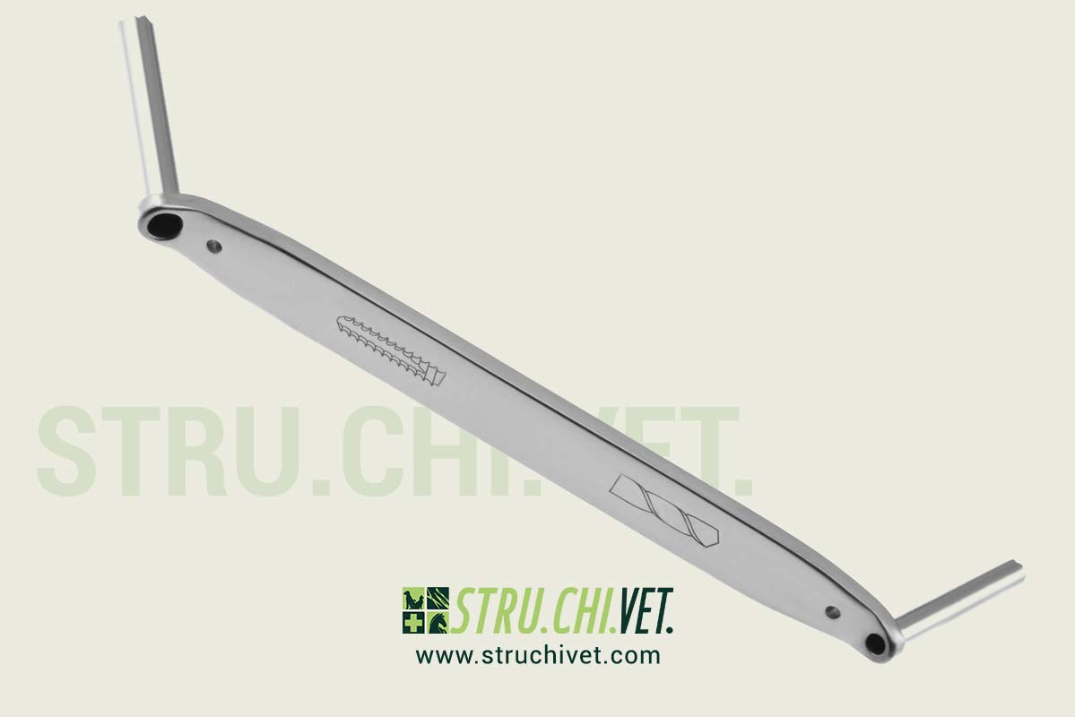 Manicotto di Perforazione