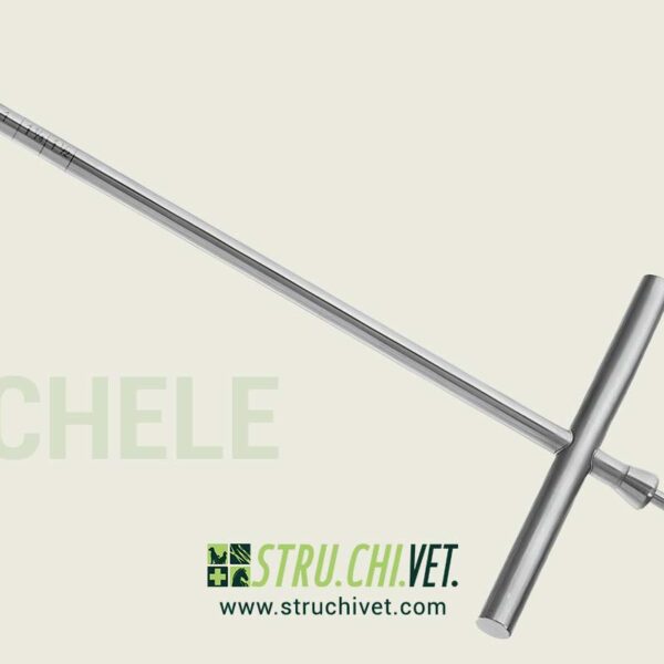 Michele Trapano a Mano