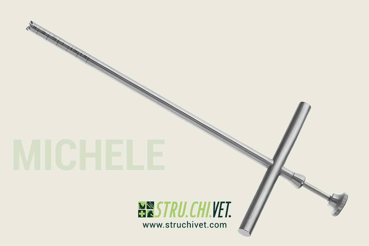 Michele Trapano a Mano