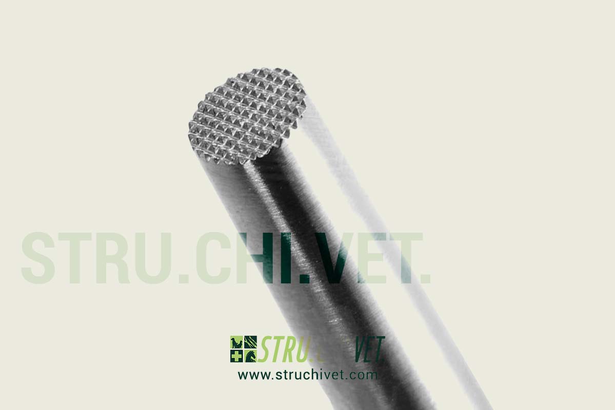 Otturatore per Osso con La Punta Dentata