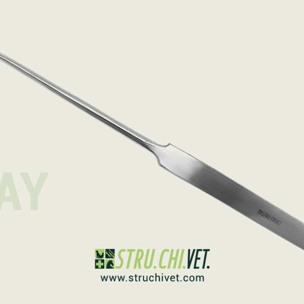 Spay Snook gancio con 4.0mm larga punta-01