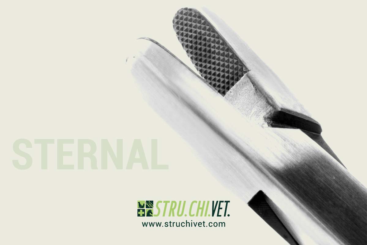 Sternal Pinza per Torcere i Fili TC Morso con Punta Rotonda