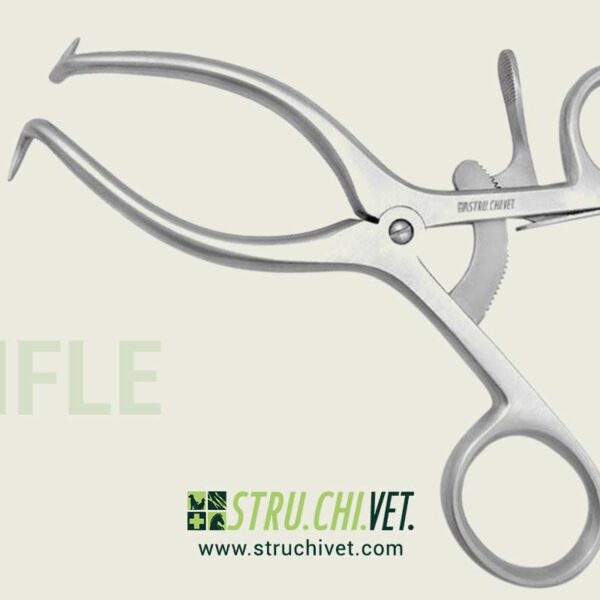 Stifle Divaricatore con 1x1 Punte Appuntite