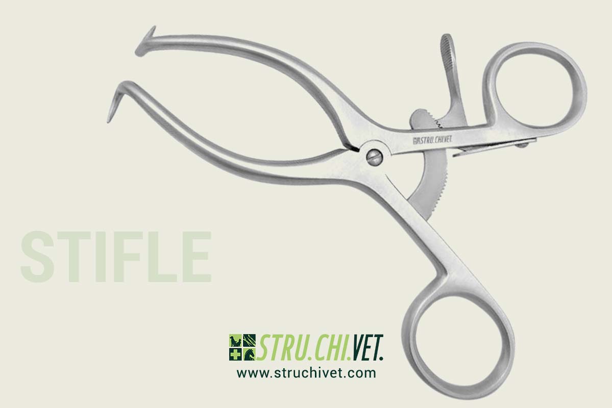 Stifle Divaricatore con 1x1 Punte Appuntite