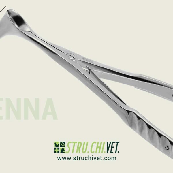 Vienna Speculum Nasale 32mm #3