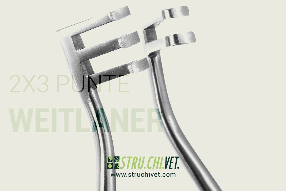 Weitlaner Divaricatore con Denti Smussati