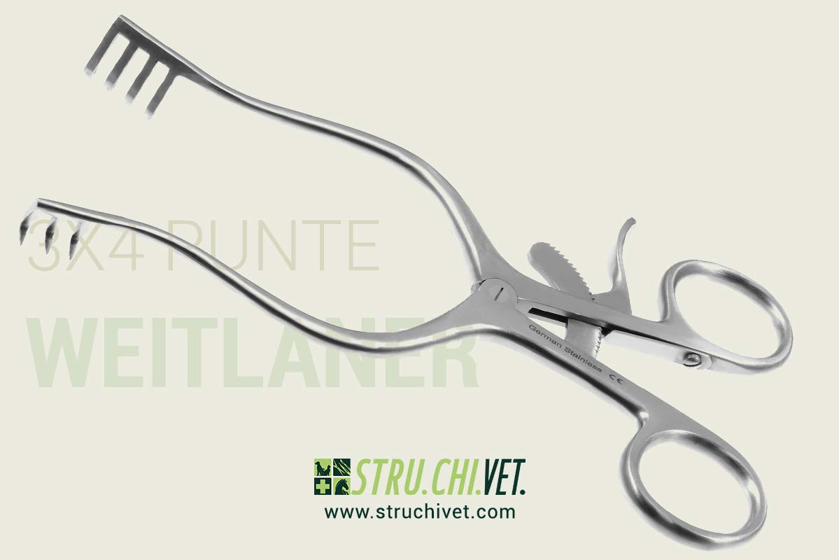 Weitlaner Divaricatore con 3x4 Denti Appuntiti