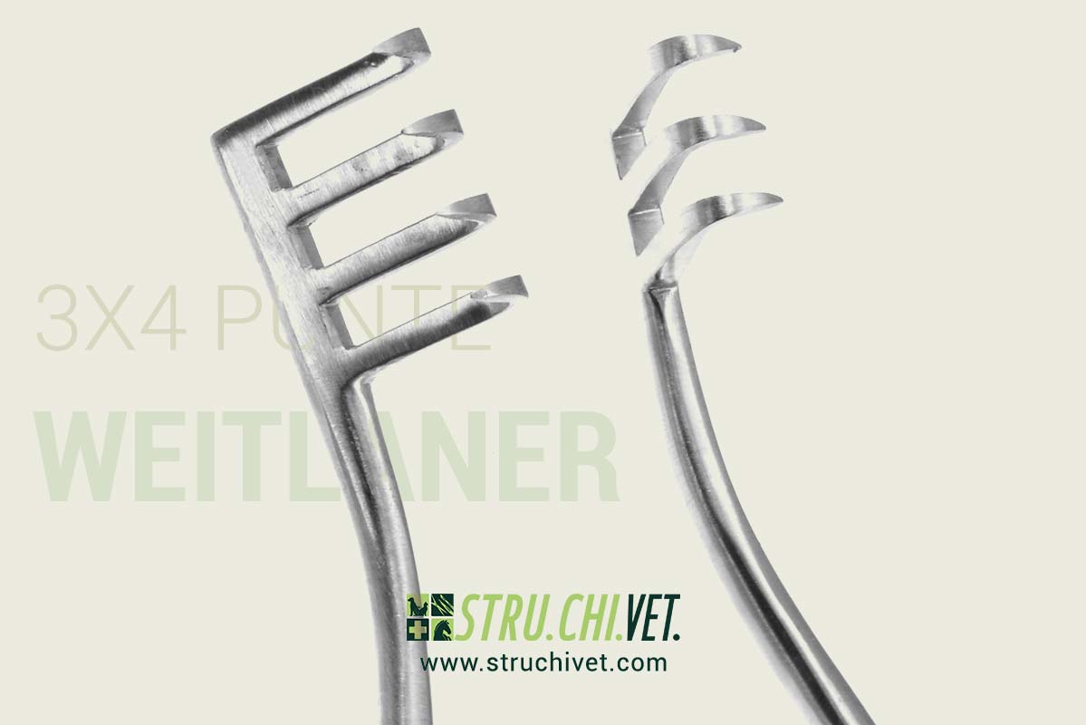 Weitlaner Divaricatore con 3x4 Denti Appuntiti