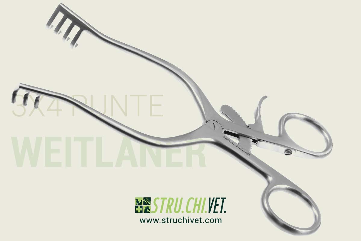 Weitlaner Divaricatore con 3x4 Denti Smussati