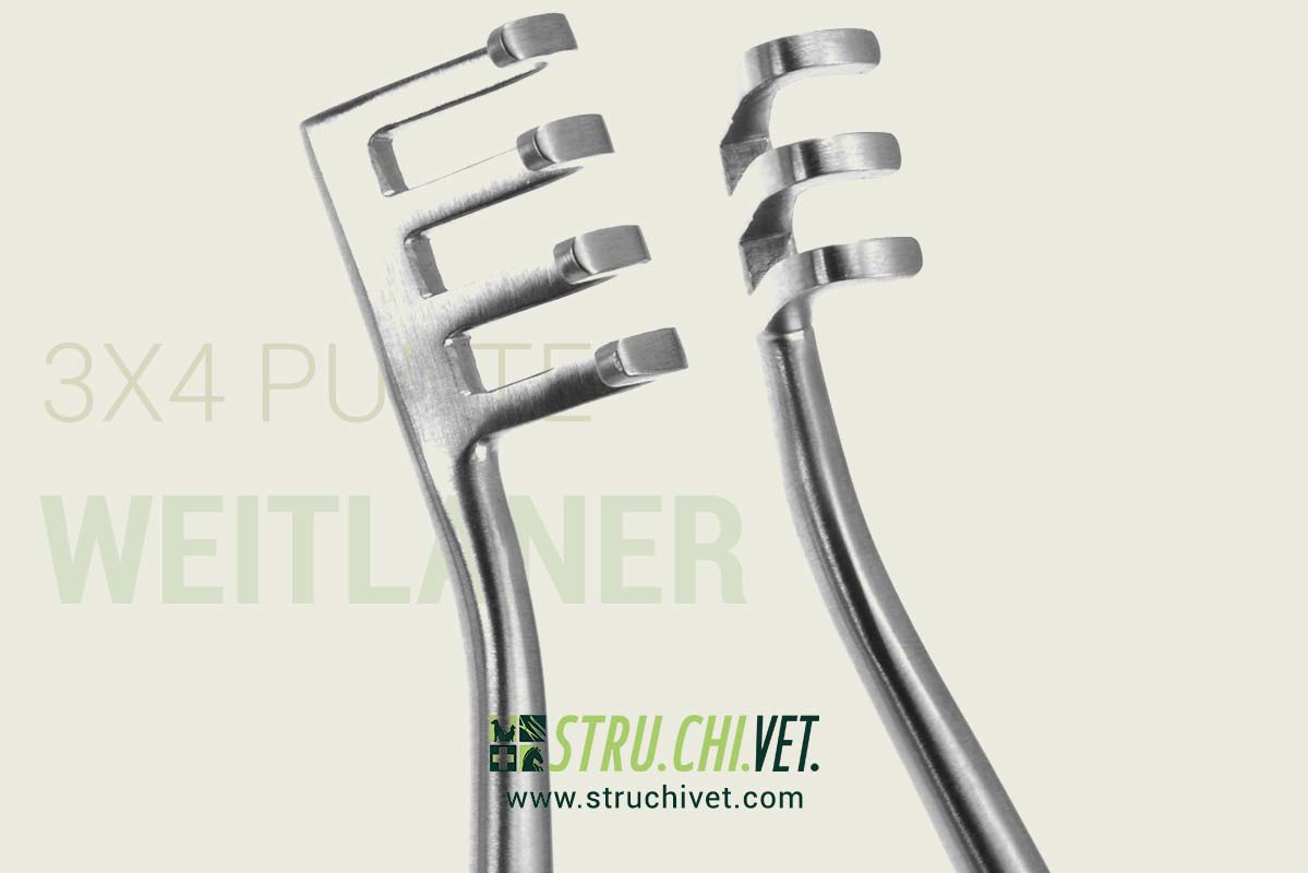 Weitlaner Divaricatore con 3x4 Denti Smussati
