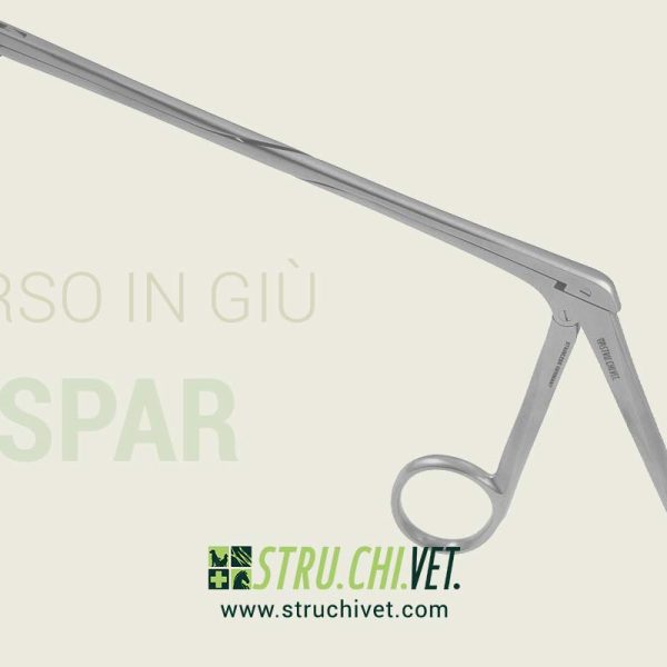 Caspar-IVD-Rongeur-asta-18cm-Morso-in-Giu-01
