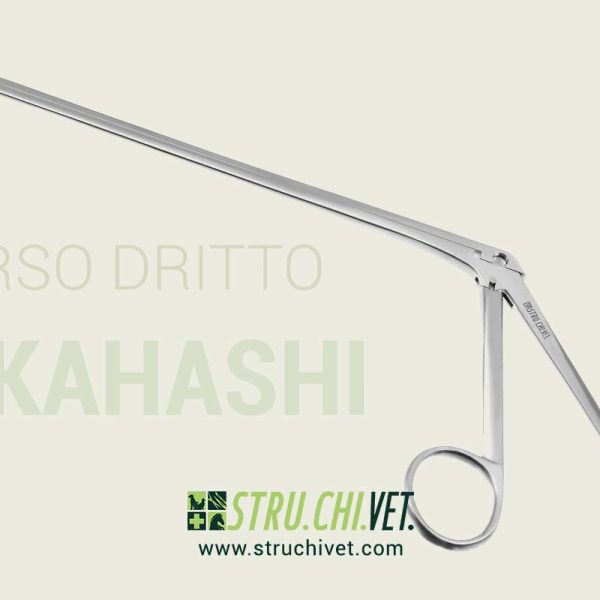 Takahashi-Pinza-Nasale-Morso-Dritto-01