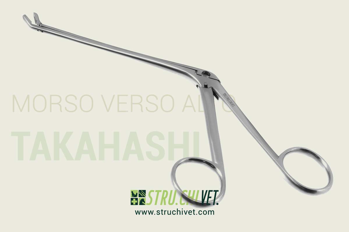Takahashi-Pinza-Nasale-Morso-Verso-Alto-01