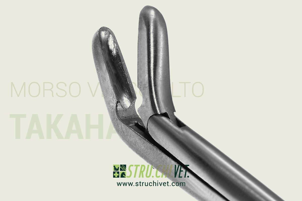 Takahashi-Pinza-Nasale-Morso-Verso-Alto-02