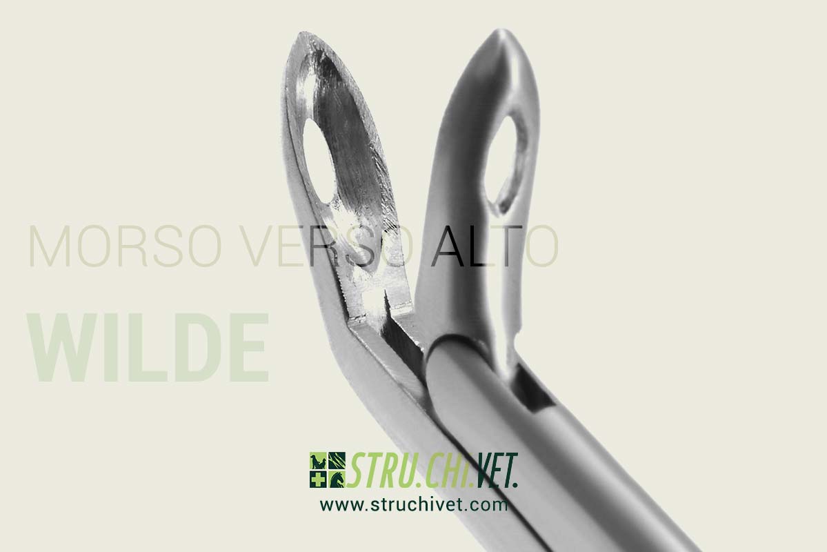 Wilde-IVD-Rongeur-con-lunghezza-effettiva-7in-Morso-Verso-Alto-02