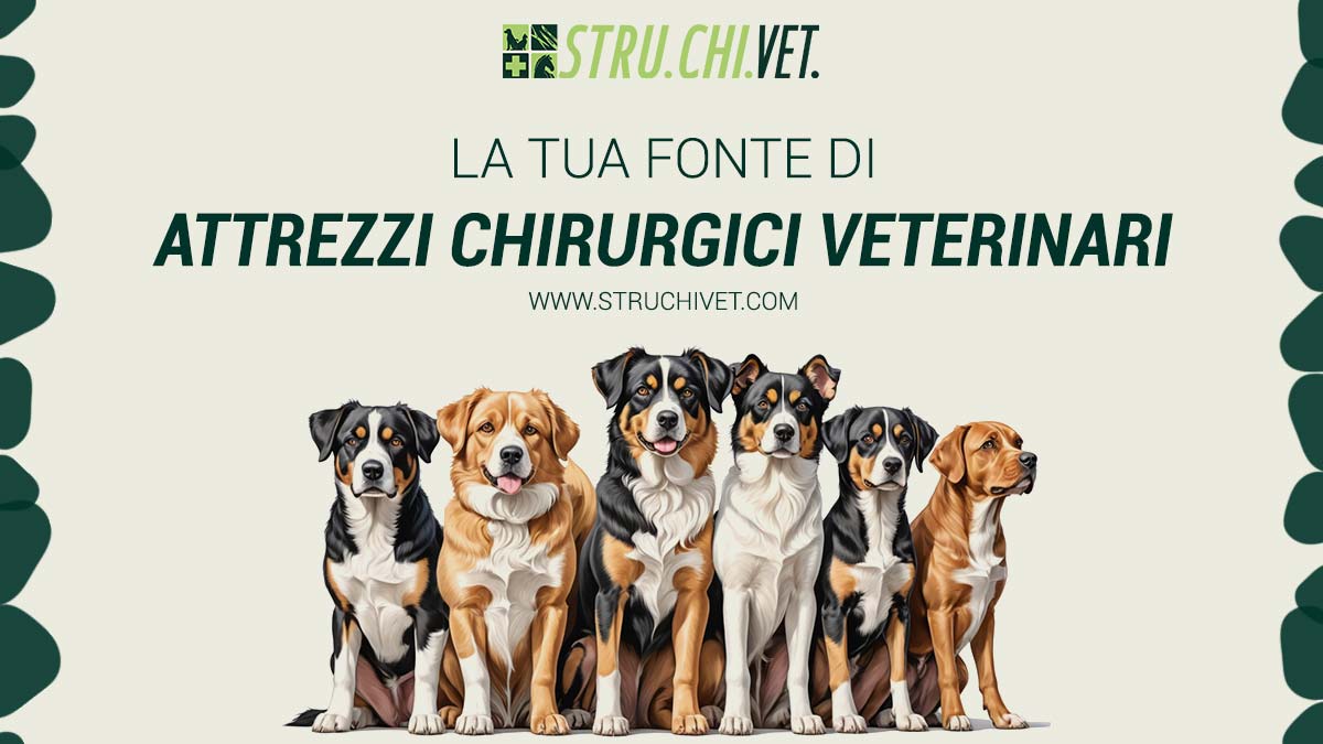 La Tua Fonte di Attrezzi Chirurgici Veterinari