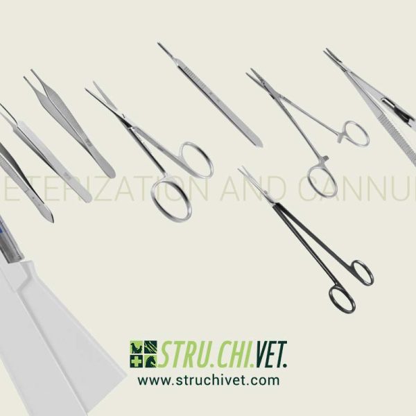 06-Catheterization and Cannulation Kit