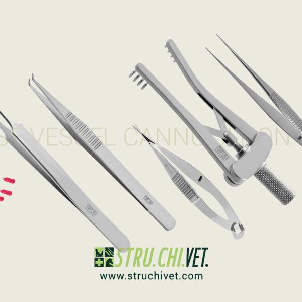 Mouse Vessel Cannulation